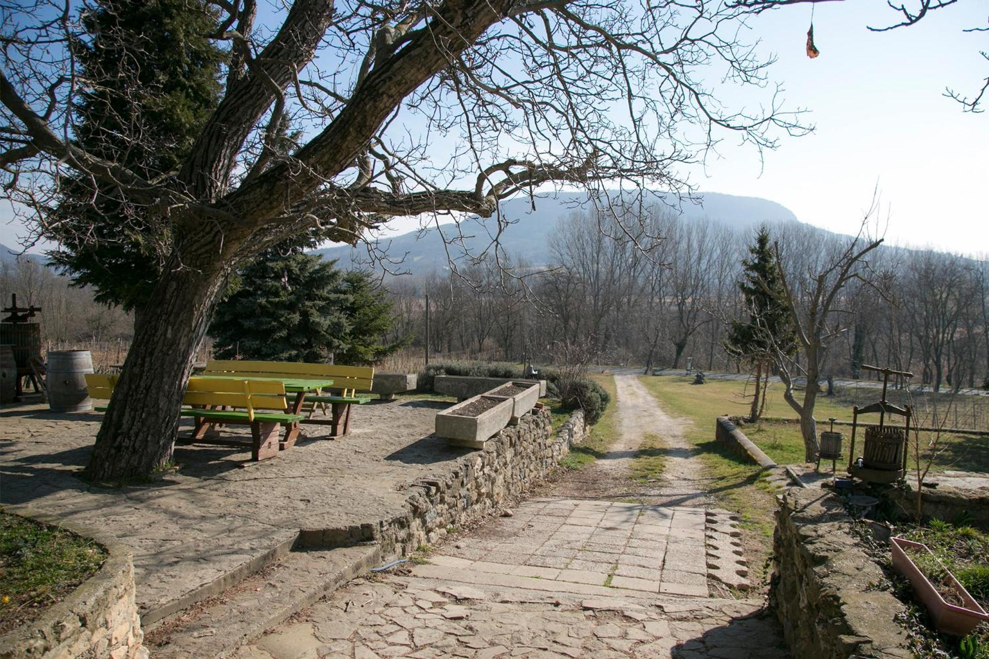 Güns Vendégház Szigliget Exterior foto