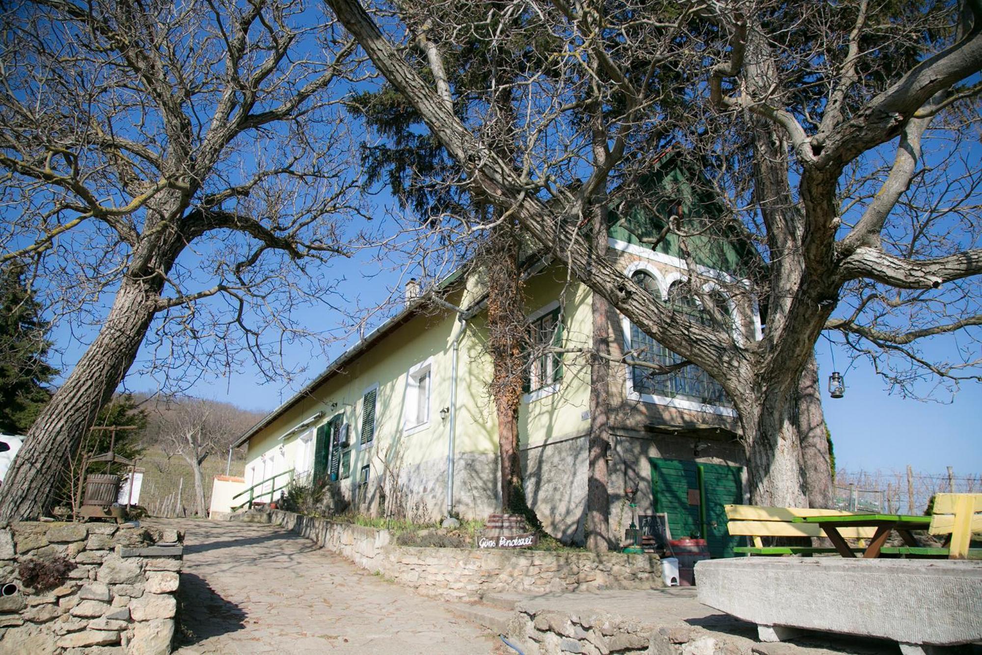 Güns Vendégház Szigliget Exterior foto